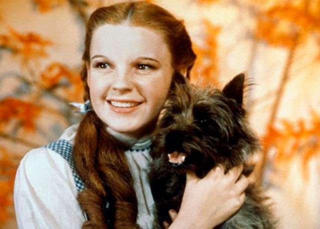 The Wizard of Oz 7